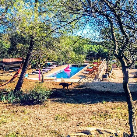 Arche De Noe Atypique, Boheme , Nature, Piscine Chauffee De Paques A Toussaint , Spa , Sauna , Loisirs Льо Бусе Екстериор снимка