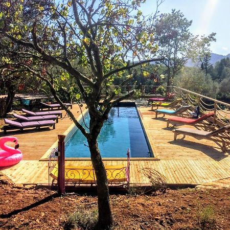 Arche De Noe Atypique, Boheme , Nature, Piscine Chauffee De Paques A Toussaint , Spa , Sauna , Loisirs Льо Бусе Екстериор снимка