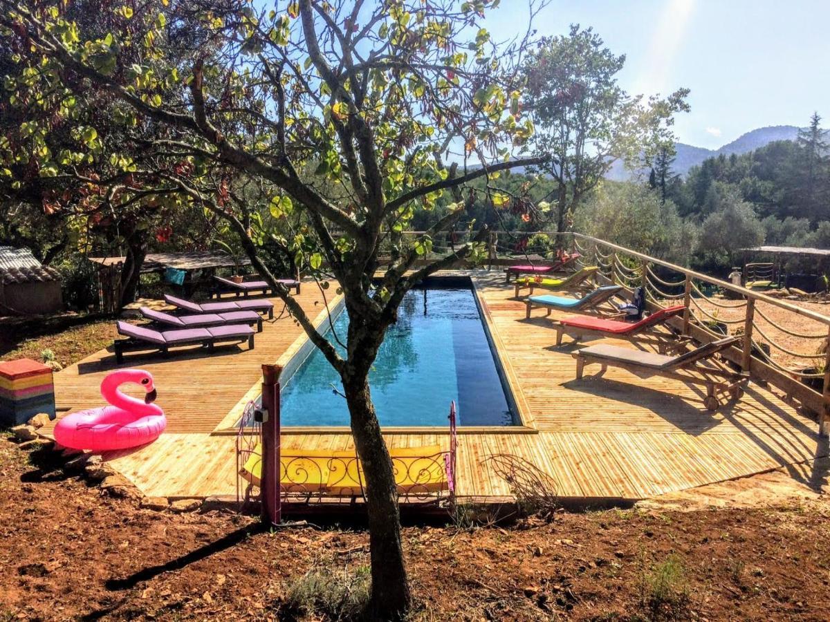 Arche De Noe Atypique, Boheme , Nature, Piscine Chauffee De Paques A Toussaint , Spa , Sauna , Loisirs Льо Бусе Екстериор снимка