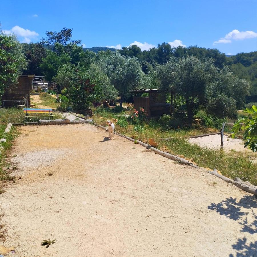 Arche De Noe Atypique, Boheme , Nature, Piscine Chauffee De Paques A Toussaint , Spa , Sauna , Loisirs Льо Бусе Екстериор снимка